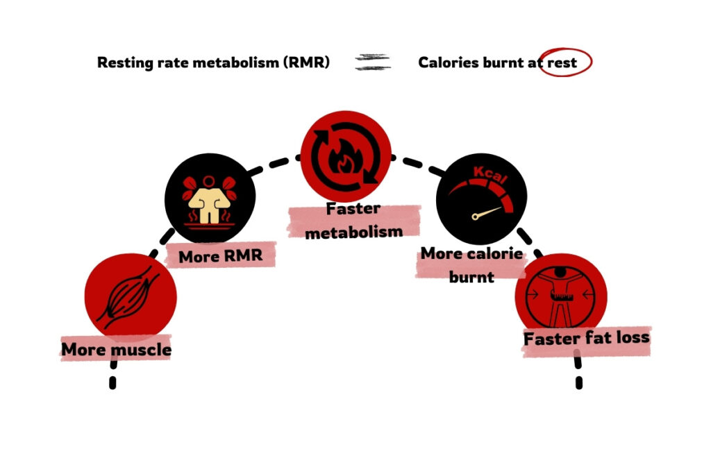 a pictorial representation of how more muscle can result in faster fat loss via more RMR, faster metabolism and more calorie deficit.