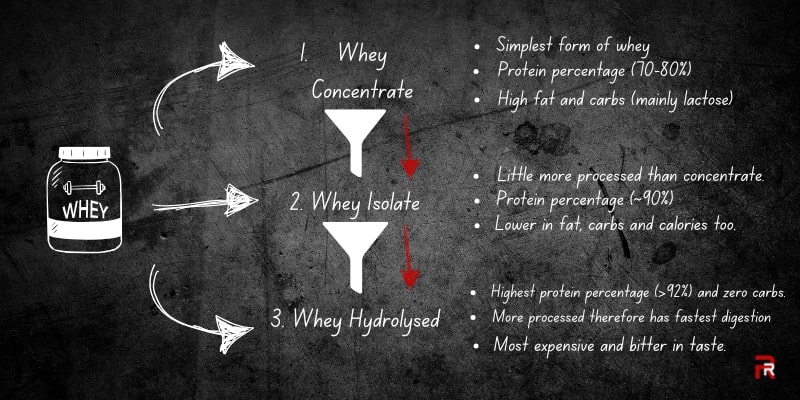 Infographic on types of whey protein as muscle gain supplements for beginners, detailing whey concentrate, isolate, and hydrolysed, which work as body growth medicine.